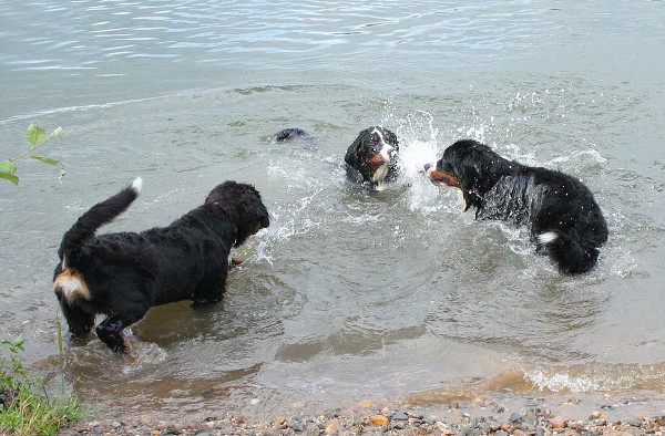 Společné koupání - červenec 2009