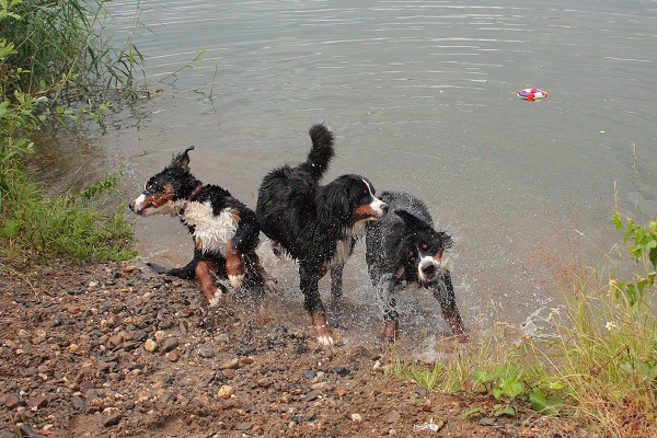 Společné koupání - červenec 2009