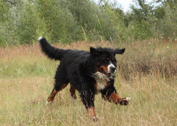 Společné koupání - červenec 2009