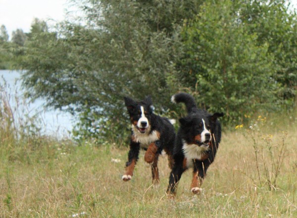 Společné koupání - červenec 2009