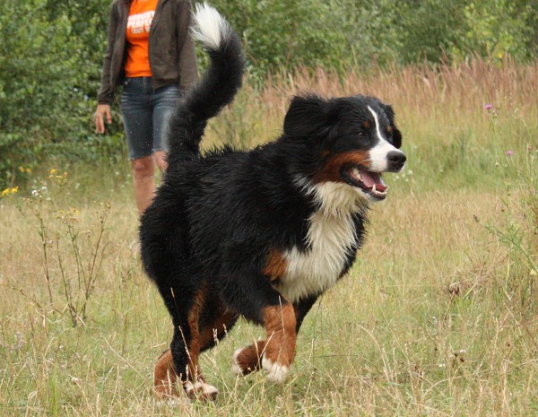 Společné koupání - červenec 2009