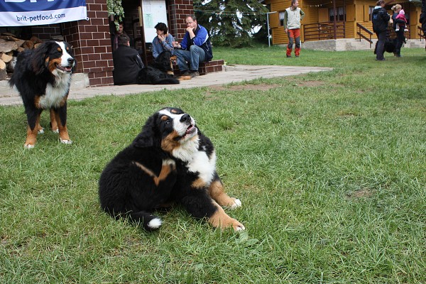 Jarní víkend 2009
