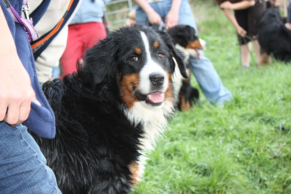 Jarní víkend 2009