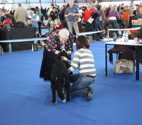 DUO CACIB Brno, únor 2009 - momentky