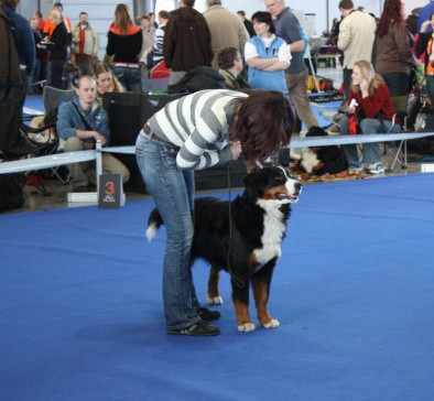 DUO CACIB Brno, únor 2009 - momentky