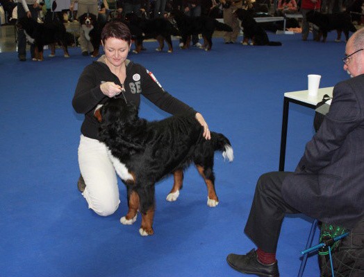 DUO CACIB Brno, únor 2009 - momentky