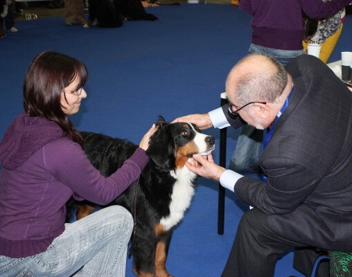 DUO CACIB Brno, únor 2009 - momentky