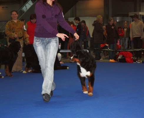 DUO CACIB Brno, únor 2009 - momentky