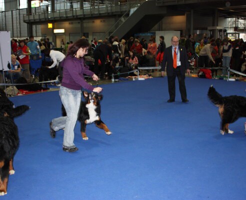 DUO CACIB Brno, únor 2009 - momentky