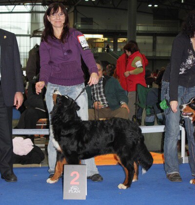 DUO CACIB Brno, únor 2009 - momentky