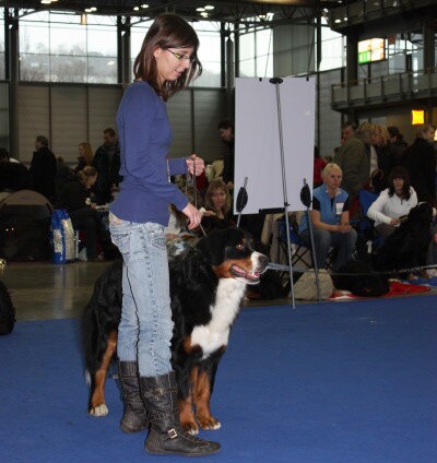 DUO CACIB Brno, únor 2009 - momentky