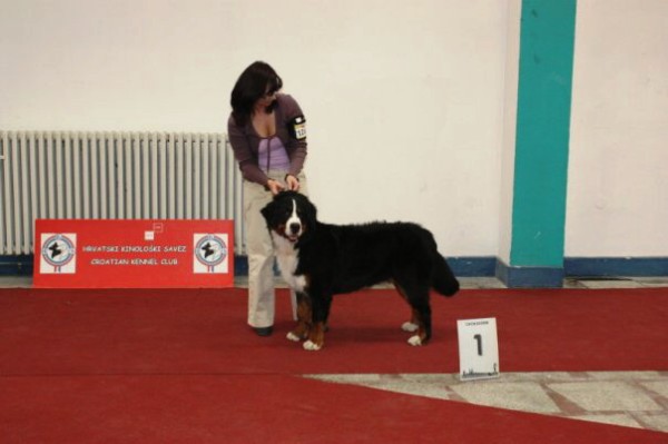 DUO CACIB Zagreb (HR) - 21.-22.11. 2009