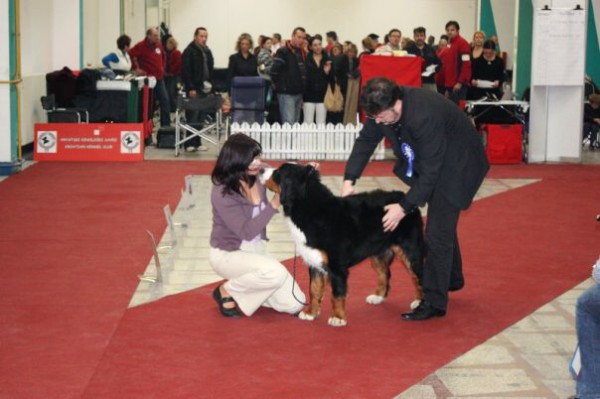 DUO CACIB Zagreb (HR) - 21.-22.11. 2009