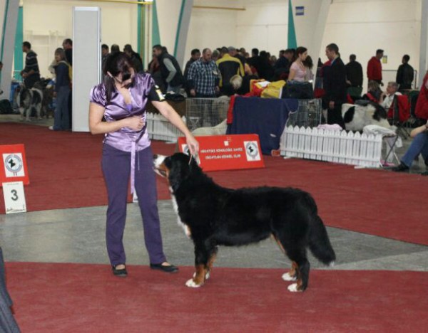 DUO CACIB Zagreb (HR) - 21.-22.11. 2009