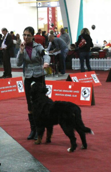 DUO CACIB Zagreb (HR) - 21.-22.11. 2009