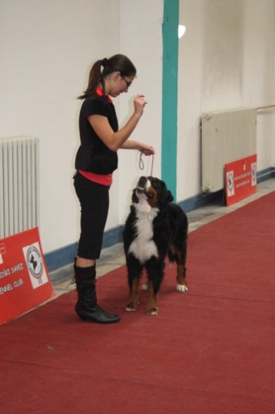 DUO CACIB Zagreb (HR) - 21.-22.11. 2009