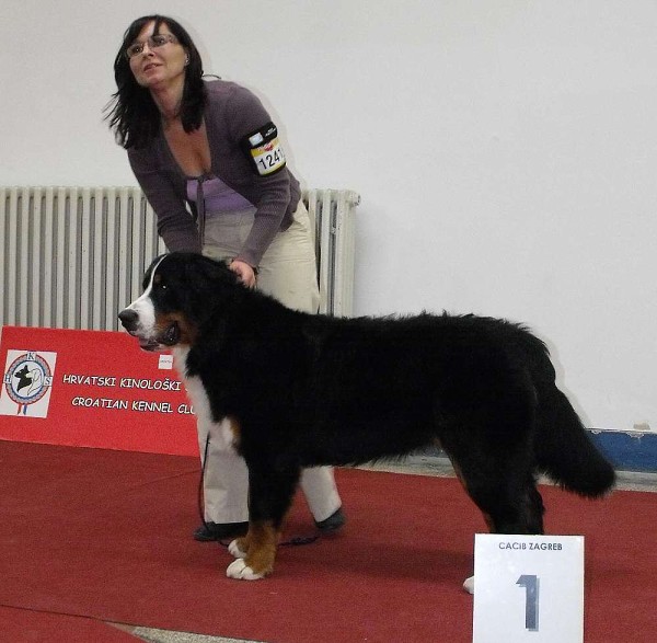 DUO CACIB Zagreb (HR) - 21.-22.11. 2009