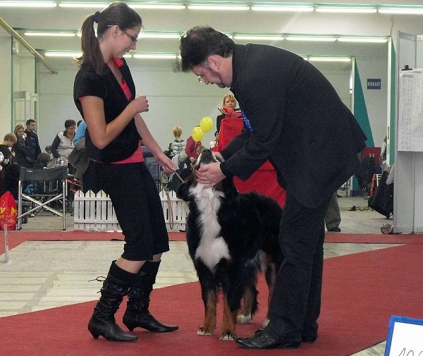 DUO CACIB Zagreb (HR) - 21.-22.11. 2009