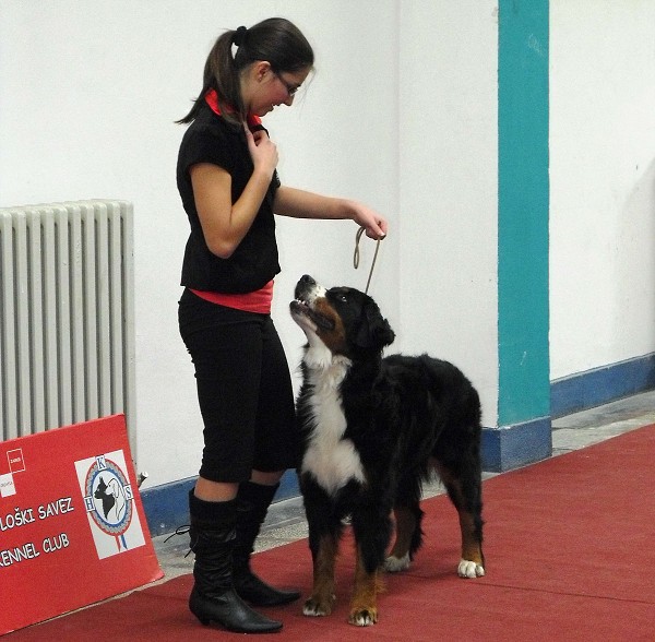 DUO CACIB Zagreb (HR) - 21.-22.11. 2009