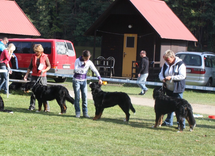 Cituška - Klubová výstava Zár. Lhota 3.10.2009 