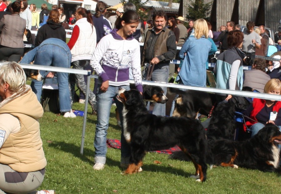 Cituška - Klubová výstava Zár. Lhota 3.10.2009 