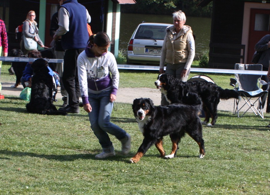 Cituška - Klubová výstava Zár. Lhota 3.10.2009 
