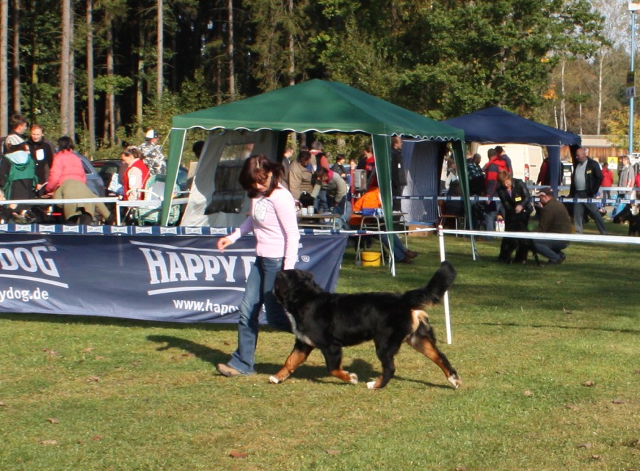 Marty - Klubová výstava Zár. Lhota 3.10.2009 