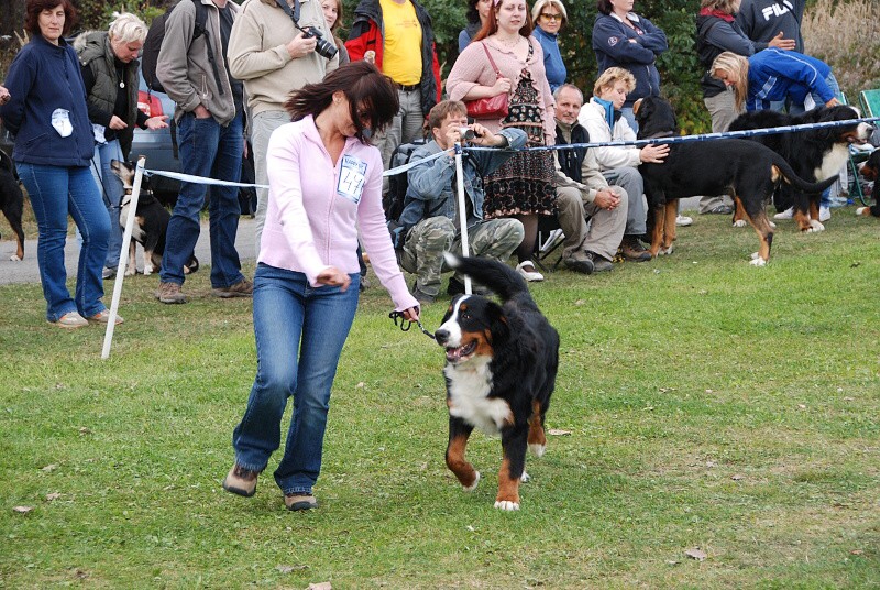 Marty - Klubová výstava Zár. Lhota 3.10.2009 