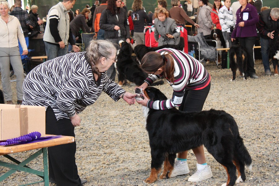 Cituška - Slovenská klubovka Čierna Voda