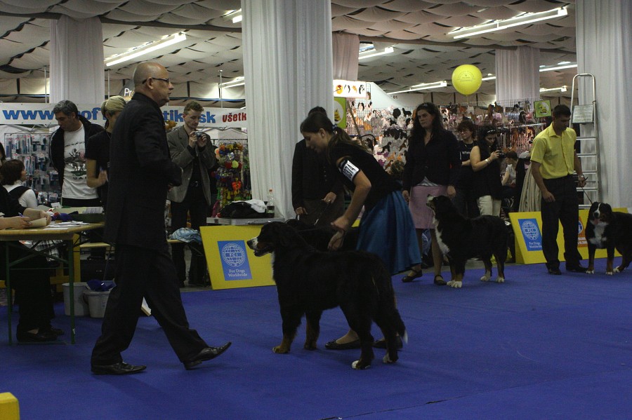Cita - World Dog Show 2009 - Bratislava