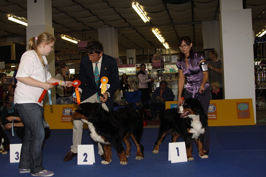 Márty  - World Dog Show 2009 - Bratislava