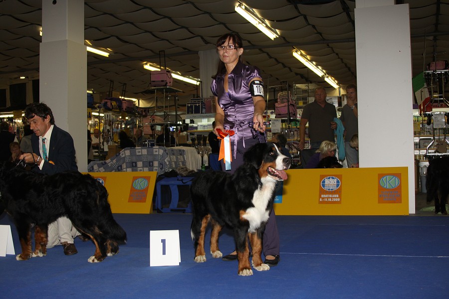 Márty  - World Dog Show 2009 - Bratislava