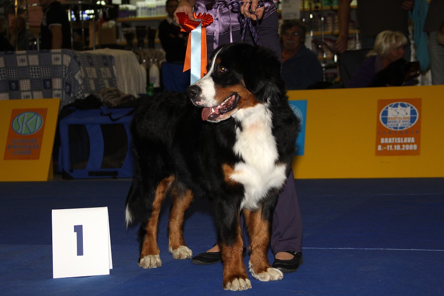 Márty  - World Dog Show 2009 - Bratislava