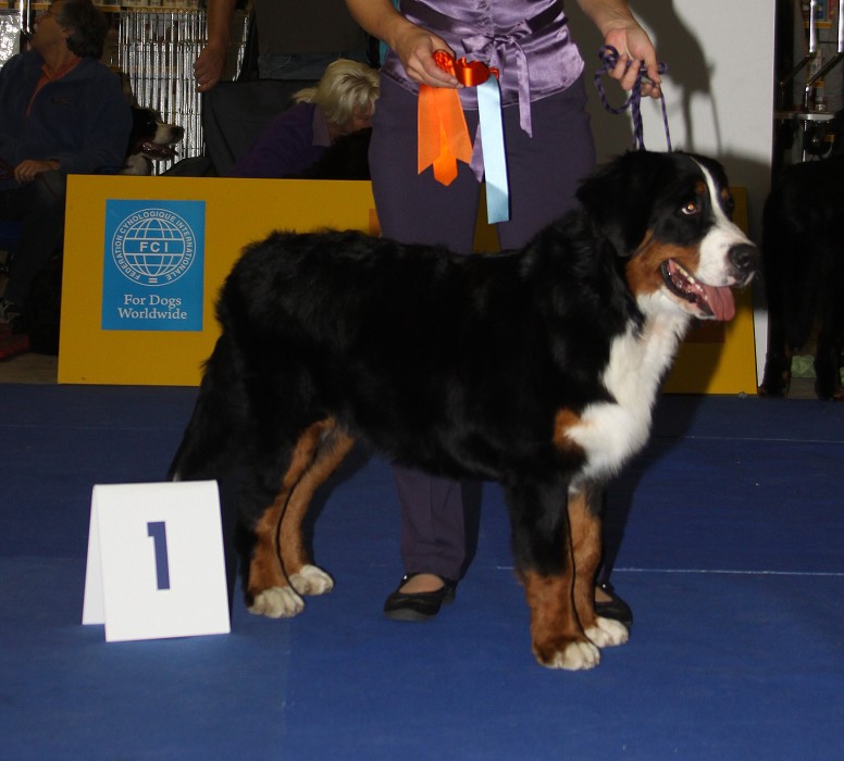 Márty  - World Dog Show 2009 - Bratislava