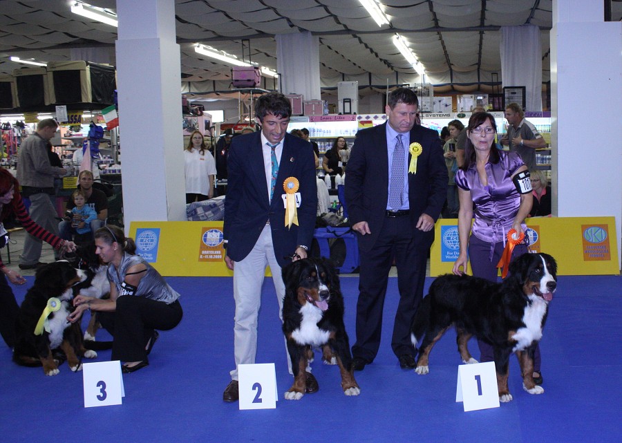 Márty  - World Dog Show 2009 - Bratislava