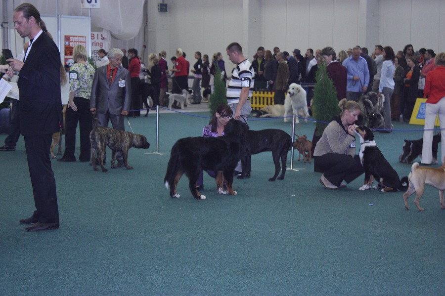 Márty  - World Dog Show 2009 - Bratislava