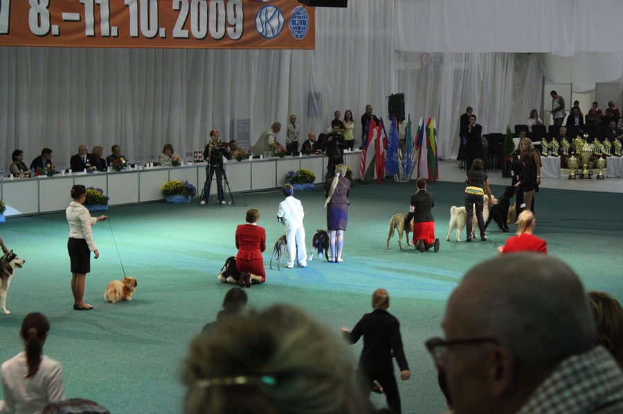 Márty  - World Dog Show 2009 - Bratislava