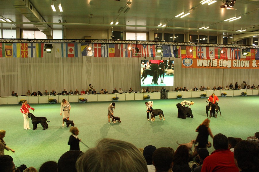 Márty  - World Dog Show 2009 - Bratislava