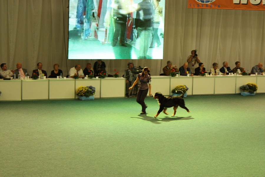 Márty  - World Dog Show 2009 - Bratislava