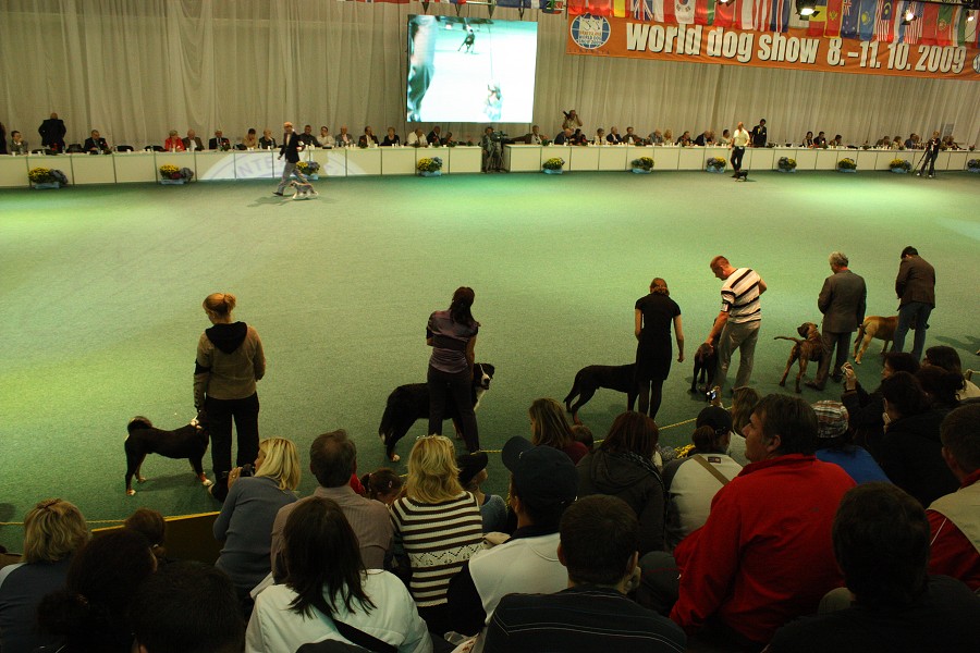 Márty  - World Dog Show 2009 - Bratislava