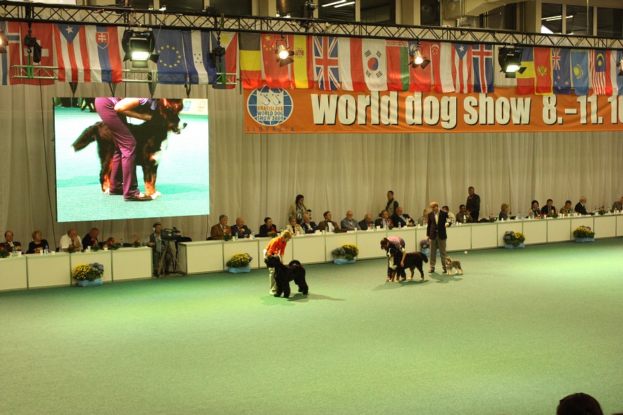 Márty  - World Dog Show 2009 - Bratislava