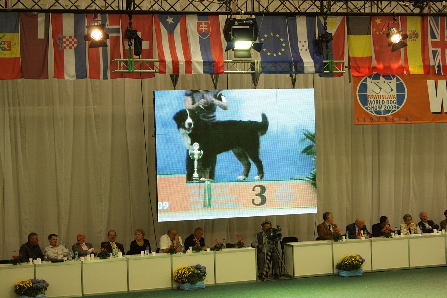 Márty  - World Dog Show 2009 - Bratislava