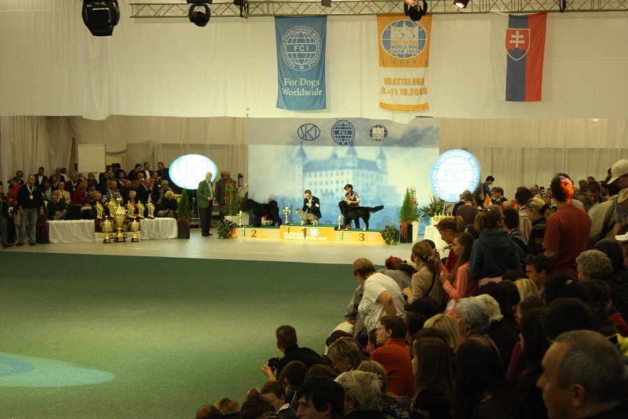 Márty  - World Dog Show 2009 - Bratislava
