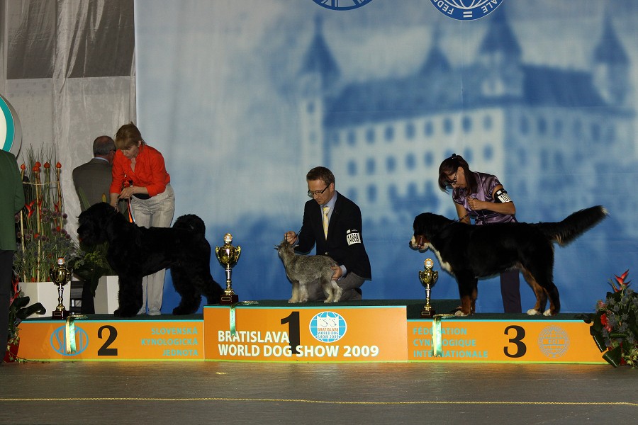 Márty  - World Dog Show 2009 - Bratislava
