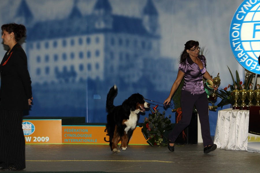 Márty  - World Dog Show 2009 - Bratislava