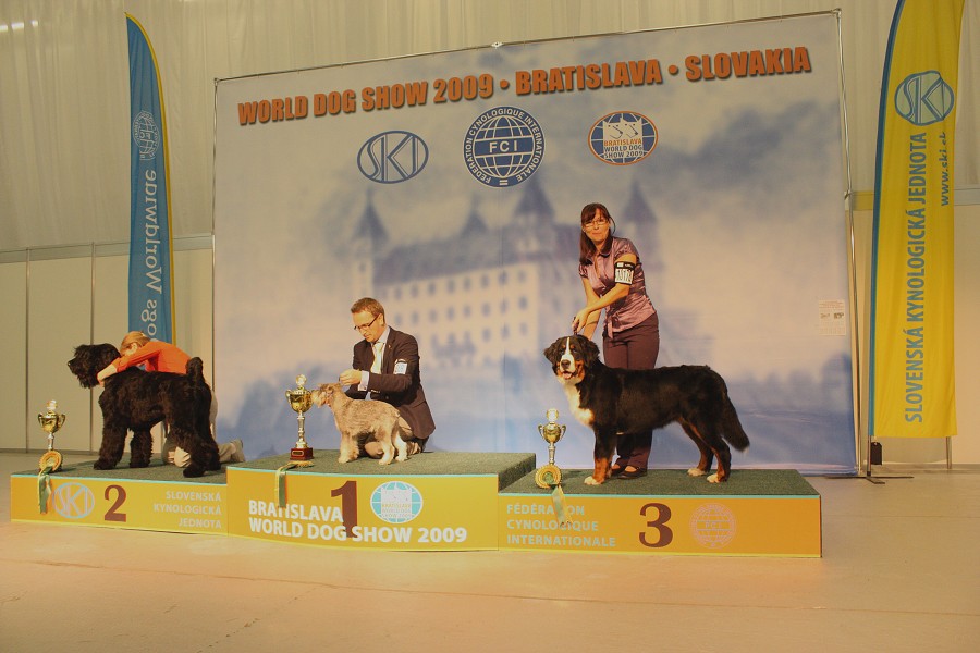 Márty  - World Dog Show 2009 - Bratislava