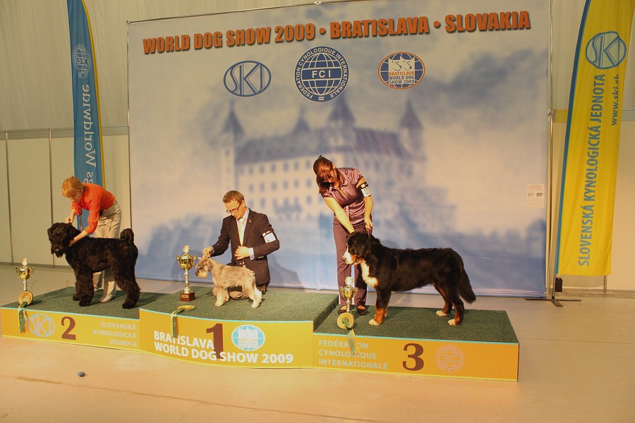Márty  - World Dog Show 2009 - Bratislava