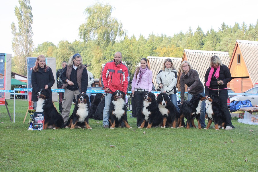 Avery Ladyca Bern - VN1 a Nejlepší dorost SV (6 měsíc
