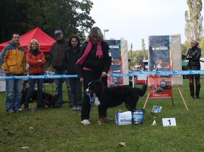 Avery Ladyca Bern - VN1 a Nejlepší dorost SV (6 měsíc
