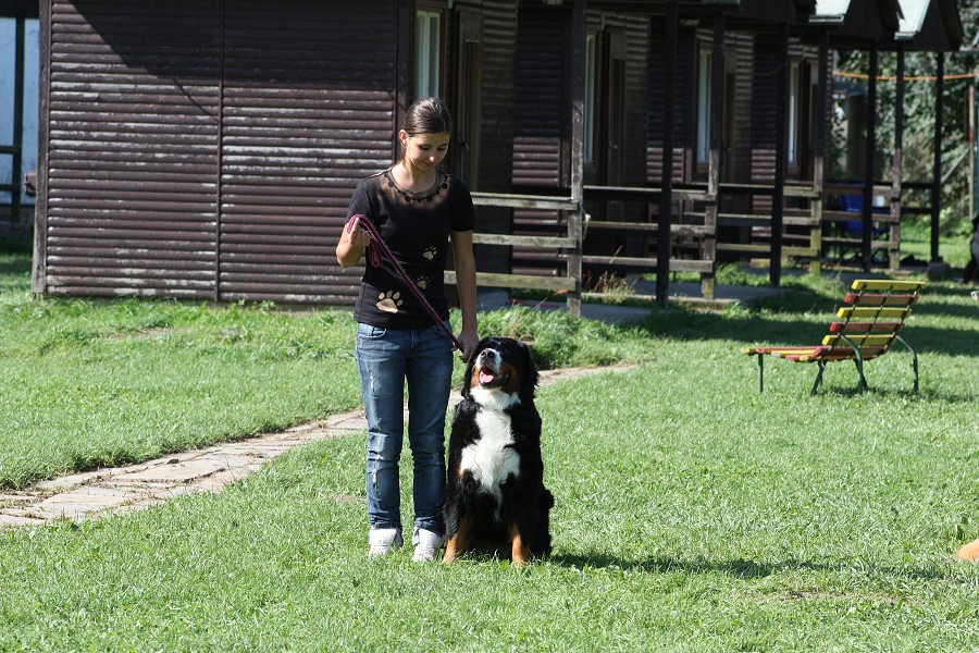 Zkoušky ZOP a ZPU 1 - Heroltice
